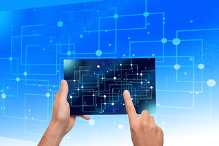 星空国际体育-中国篮球教练员战术执行力提升路径及方法研究，如何提高篮球教练员水平